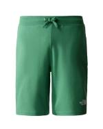 The North Face GRAPHIC LIGHT Sport Shorts Cotton jersey Man Green Deep