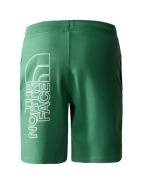 The North Face GRAPHIC LIGHT Sport Shorts Cotton jersey Man Green Deep