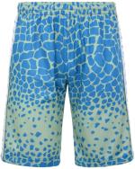 Sportshorts kappa 222 BANDA SAIO GRAPHIK Polyester Mann mit Taschen Green Dusty-Blue Smu