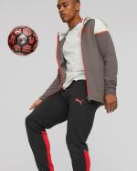 Sportanzugjacke AC MILAN Puma CASUALS Baumwollmann mit durchgehendem Reißverschluss 2023 24 Grau