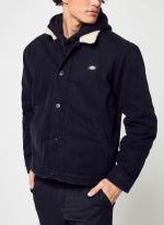 Dickies Oberbekleidungsjacke DUCK CANVAS Schwarzer Baumwollmann