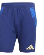  Italia Italy FIGC Adidas Pantaloncini Shorts Blue Training TIRO 24 EURO 2024 