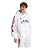 Adidas House of Tiro Nations Pack Kapuzenpullover Baumwolle FLEECE Mann WEISS