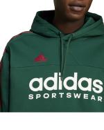 Adidas House of Tiro Nations Pack Kapuzenpullover Baumwolle FLEECE Mann GRÜN