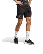  All Blacks New Zealand Adidas Pantaloncini Shorts rugby Gym All Blacks 2024 