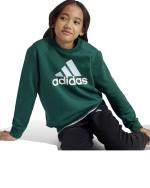 Adidas Kinder Jungen Essentials Big Logo Fleece Junior Baumwolle Trainingsanzug Grün