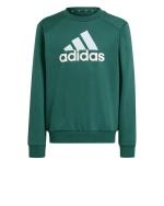 Adidas Kinder Jungen Essentials Big Logo Fleece Junior Baumwolle Trainingsanzug Grün