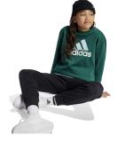 Adidas Kinder Jungen Essentials Big Logo Fleece Junior Baumwolle Trainingsanzug Grün