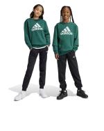 Adidas Kinder Jungen Essentials Big Logo Fleece Junior Baumwolle Trainingsanzug Grün