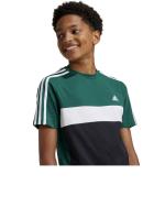 Adidas Tiberio 3-Streifen Colorblock Baumwolle Junior T-Shirt Grün Schwarz