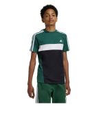 Adidas Tiberio 3-Streifen Colorblock Baumwolle Junior T-Shirt Grün Schwarz