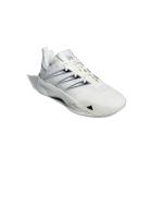 Sportschuhe Turnschuhe BASKET Adidas DAME CERTIFIED 3 Männer NBA Weiß