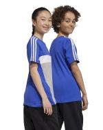 Adidas Tiberio 3-Streifen Colorblock Baumwolle Junior T-Shirt Grau Blau