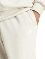 ADIDAS Basic 3-Streifen Herren Trainingsanzug BRUSHED COTTON FRENCH TERRY Alumina