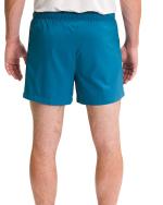 Laufshorts Tekking THE NORTH FACE FREEDOMLIGHT Polyester Mann BANF BLUE