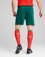 PORTUGAL FPF Puma Home Grüne Herren-Fußballshorts 2025