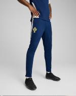  Portugal Portogallo Puma Pantaloni tuta Pants Persian Blue Training 2025 