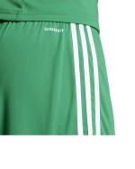 Adidas Squadra 25 Fußball Polyester Aeroready Herren Shorts ohne Taschen Grün Weiß