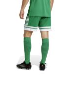 Adidas Squadra 25 Fußball Polyester Aeroready Herren Shorts ohne Taschen Grün Weiß