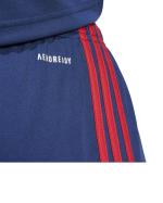  Pantaloncini Shorts UOMO Adidas Squadra 25 Football Blu Rosso 