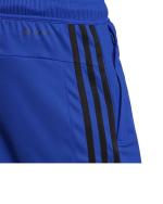  Pantaloncini Shorts UOMO Adidas Train Essentials Piquet 3 Stripes Blue Royal 